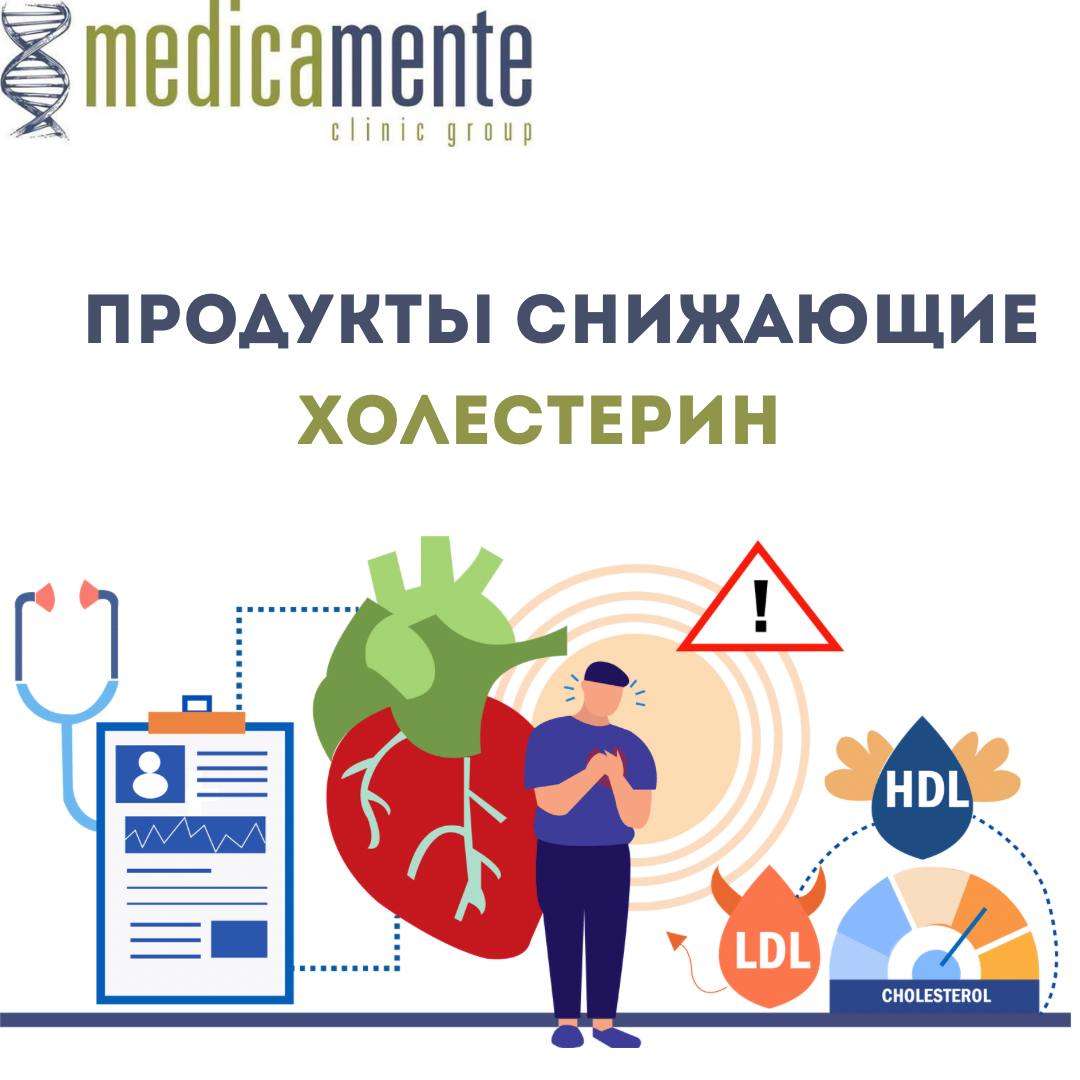 Продукты снижающие холестирин